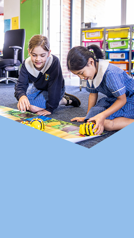Students programming bee bots in the classroom at St Mary's Primary School Rydalmere