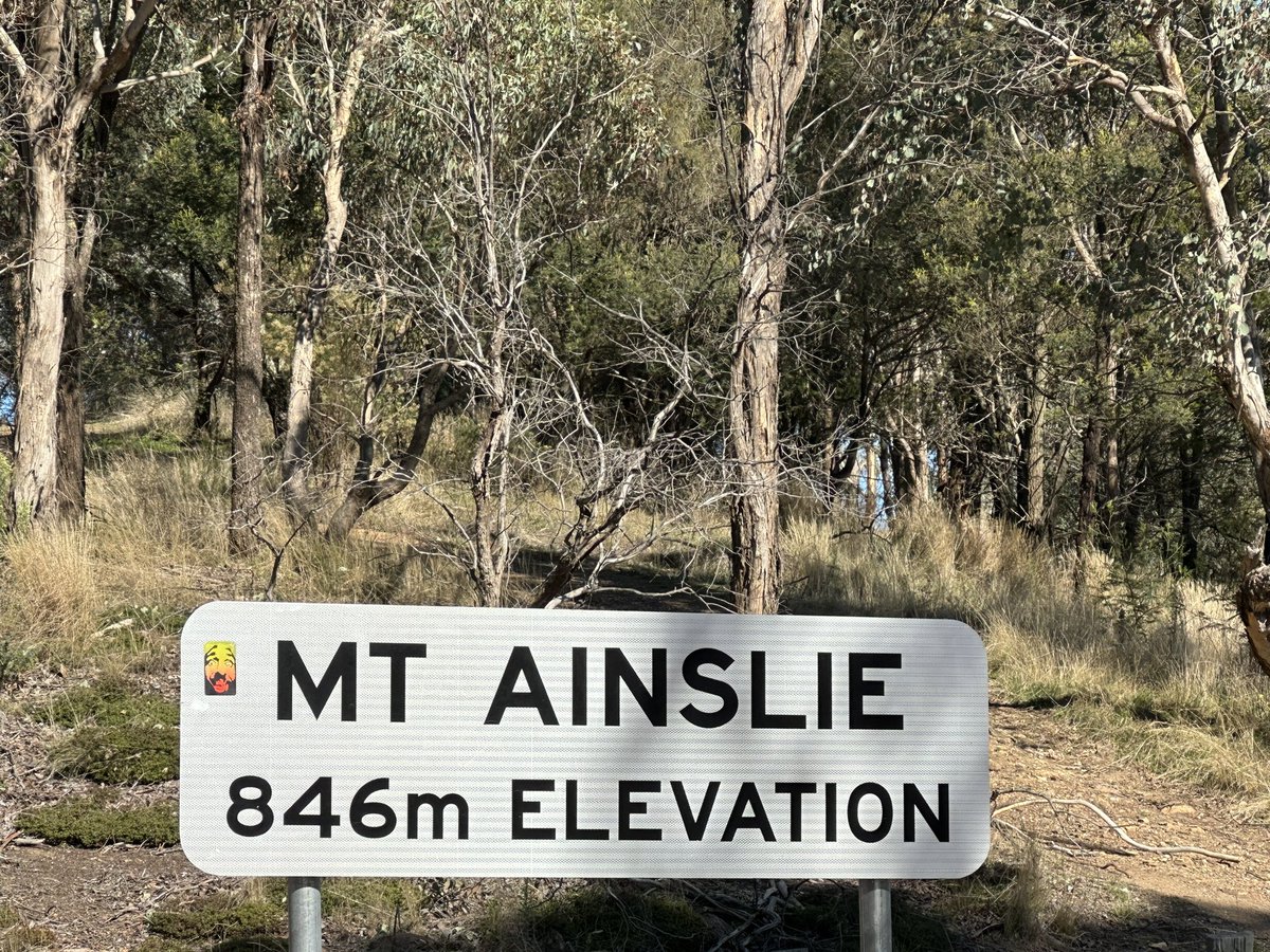 1654305568428023808-1